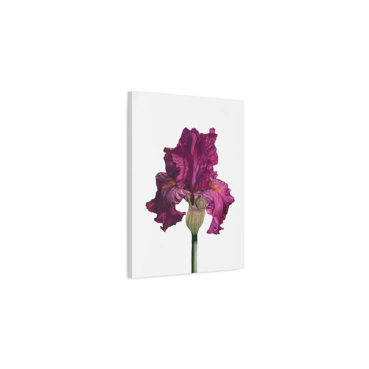 Prints on Canvas
