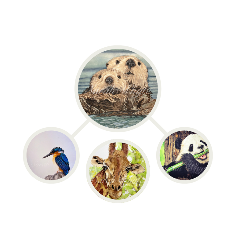 Animals