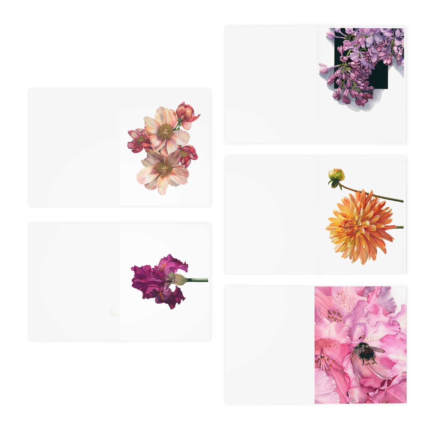 Floral Greeting Cards Set - 5-Pack of Elegant Note Cards for All Occasions - Floral Watercolor Print