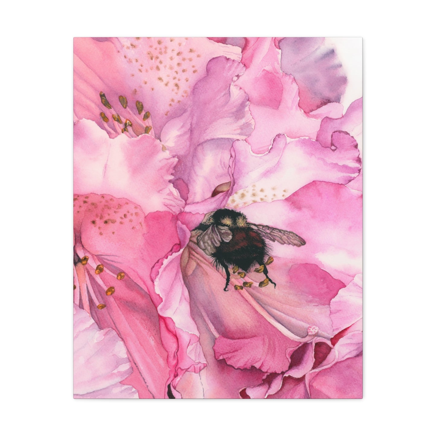 Floral Bee Canvas Wall Art - Pink Flower & Bumblebee Decor - Floral Watercolor Print