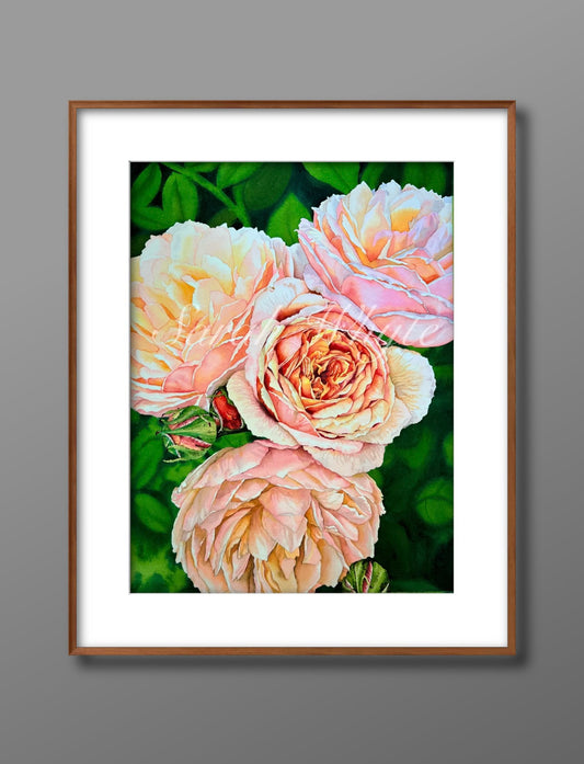 Summer Splendor Print - Watercolor Art by Sarah Whyte