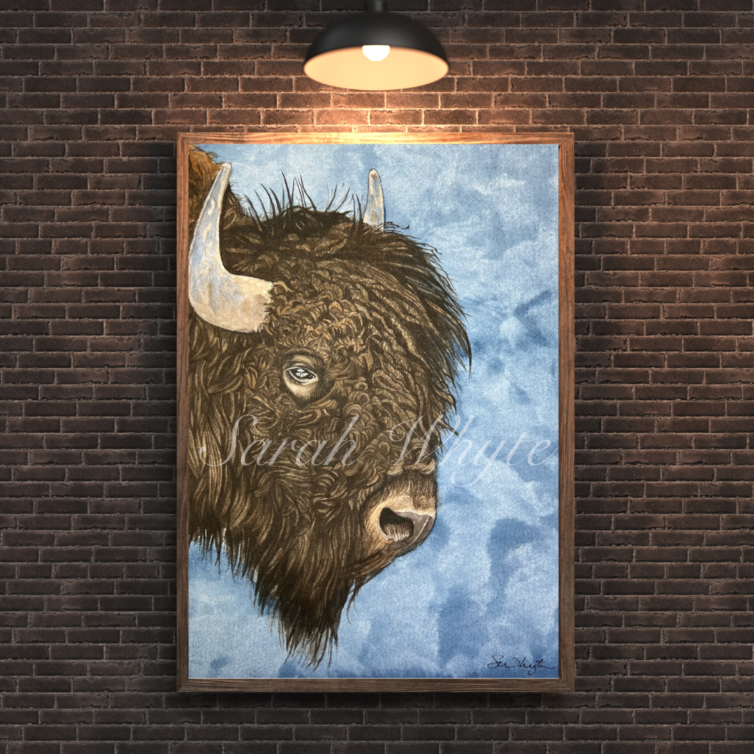 Bison Print - Wildlife Watercolor Print