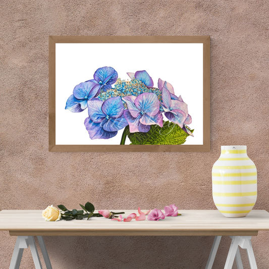Blue Hydrangea Print - Floral Watercolor Print
