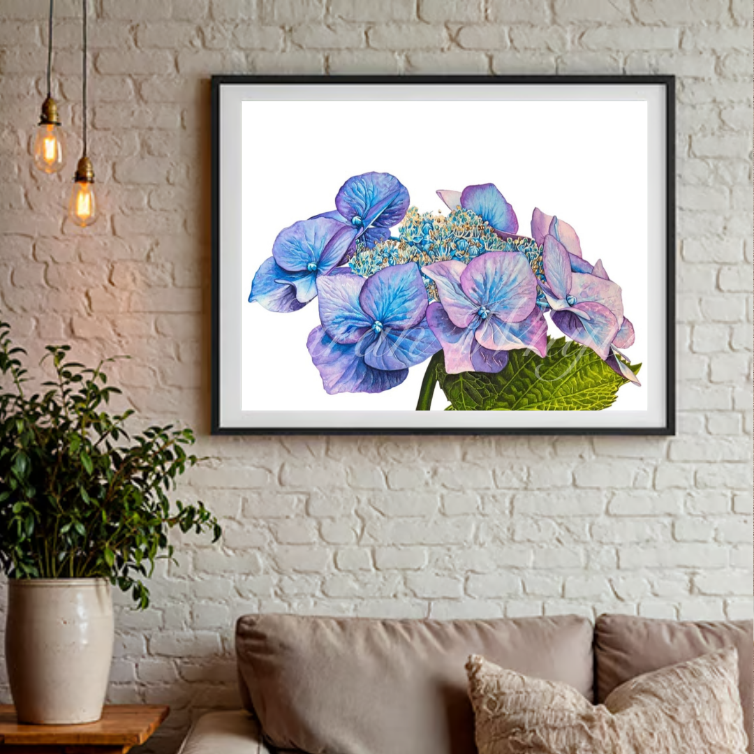 Blue Hydrangea Print - Floral Watercolor Print