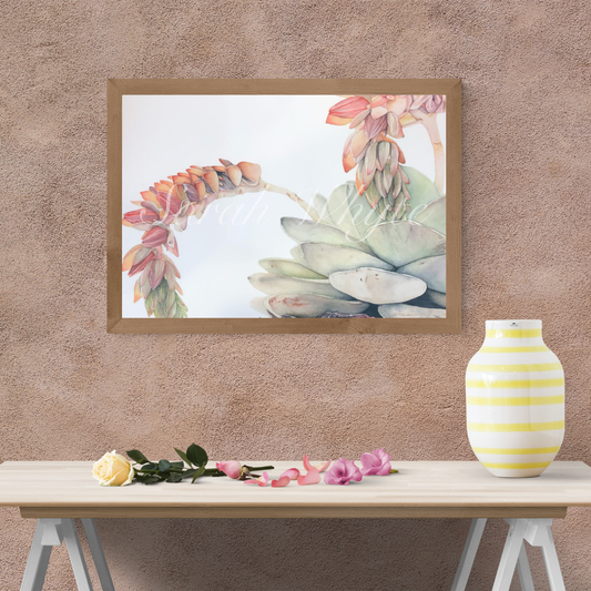 Echeveria Print - Watercolor Art by Sarah Whyte