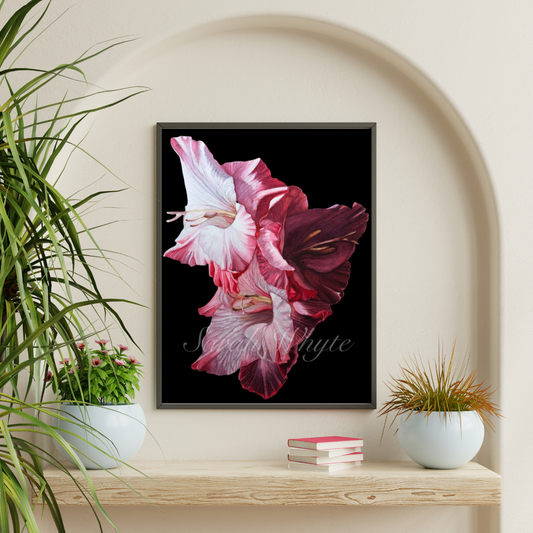 Gladioli Print - Watercolor Art by Sarah Whyte