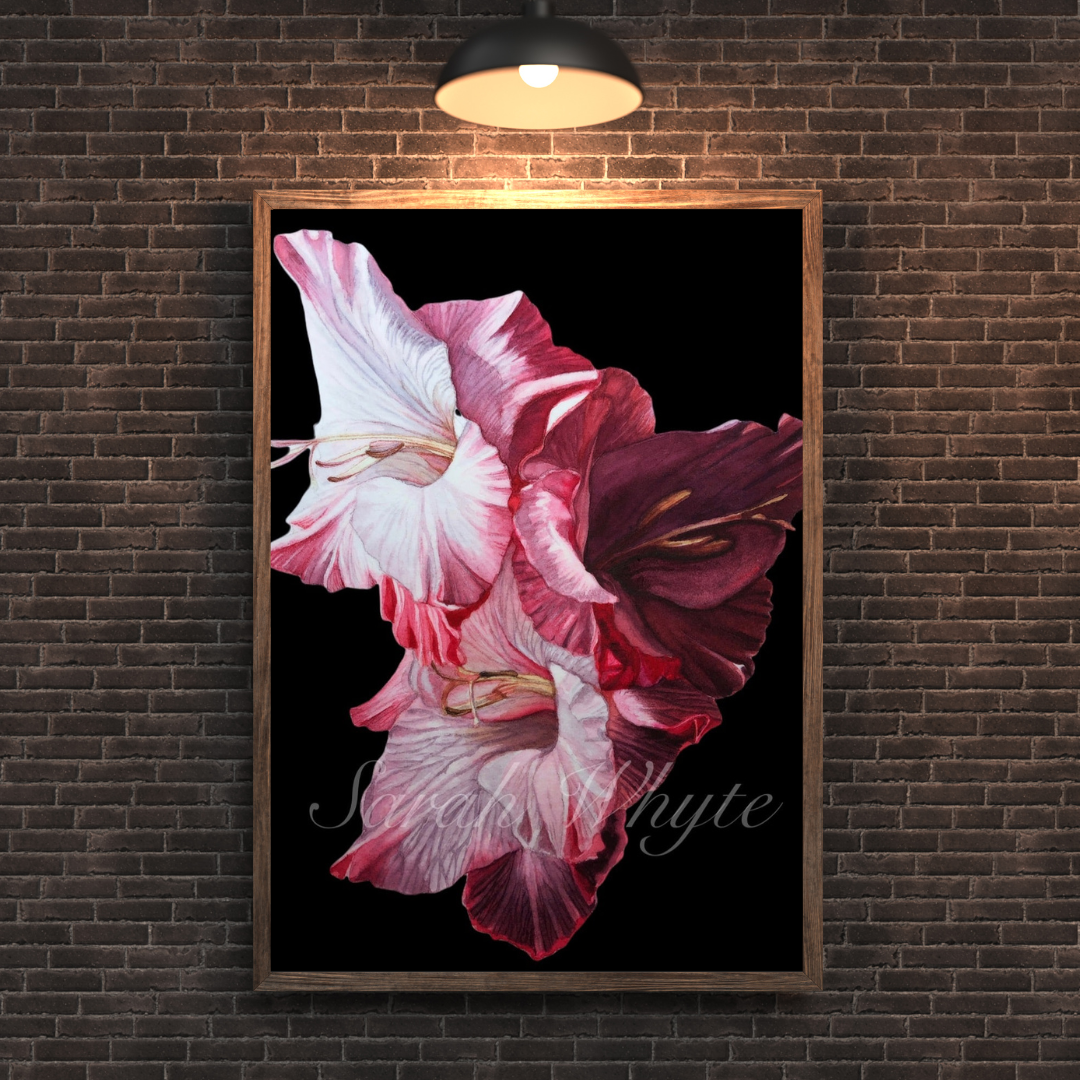 Gladioli Print - Watercolor Art by Sarah Whyte