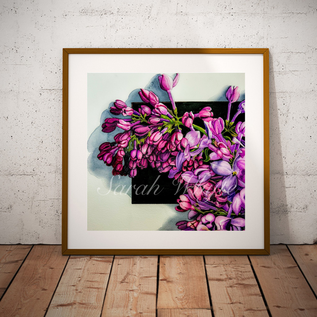 Lilac Sprig Print - Watercolor Art by Sarah Whyte