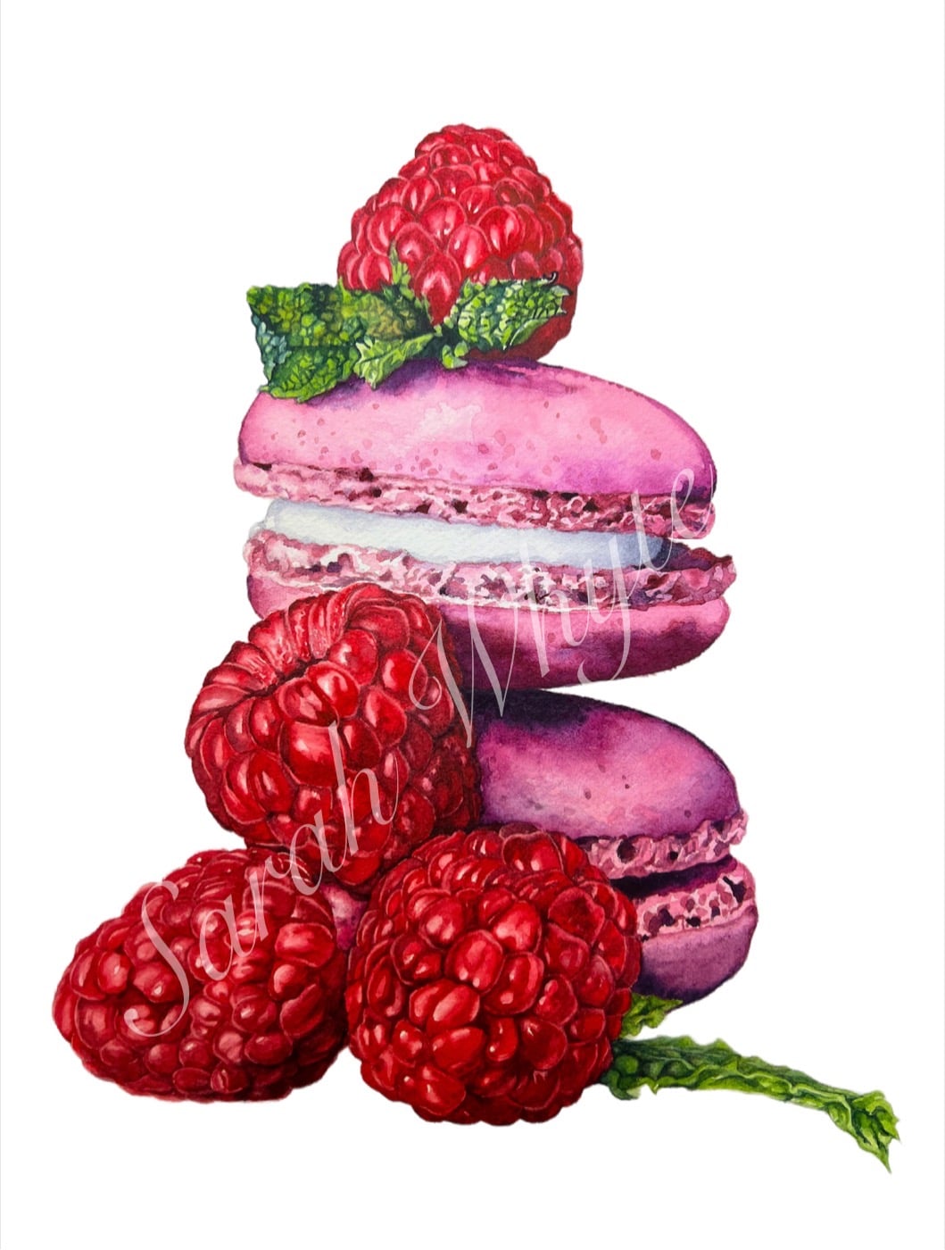 Raspberry Macarons Print - Watercolor Art by Sarah Whyte