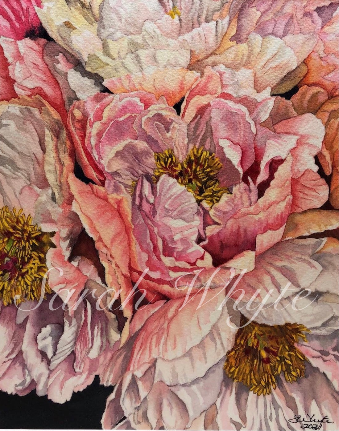 Peony Harvest Print - Floral Watercolor Print