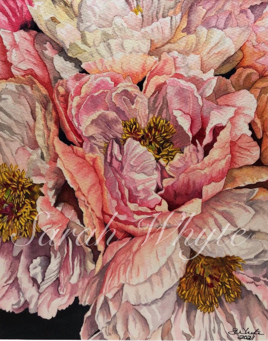 Peony Harvest Print - Floral Watercolor Print