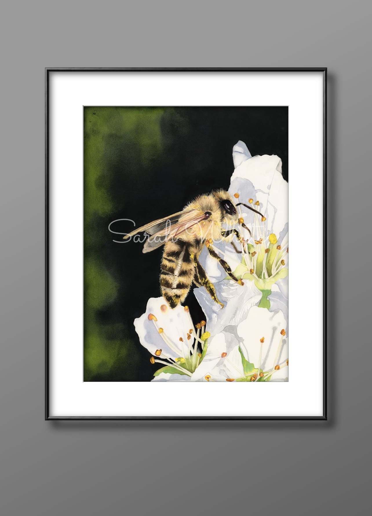 Pollen Party Print - Watercolor Art by Sarah Whyte
