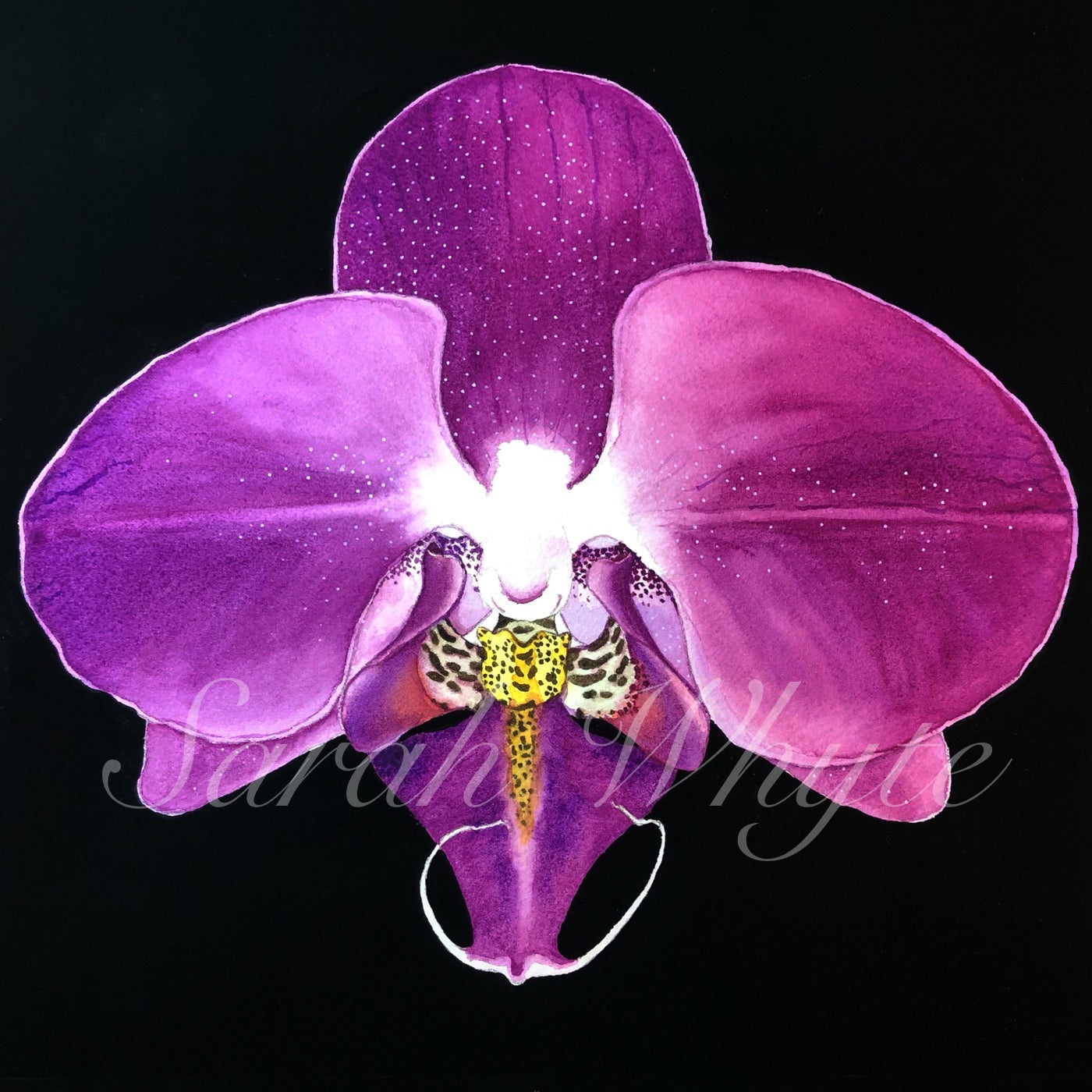 Purple Orchid Print - Floral Watercolor Print