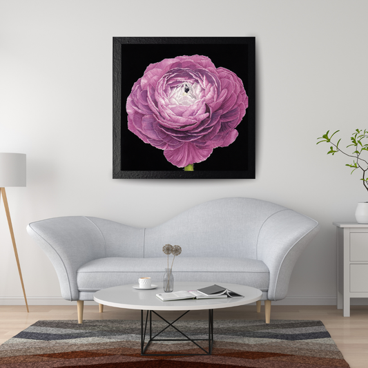 Purple Ranunculus Print - Watercolor Art by Sarah Whyte