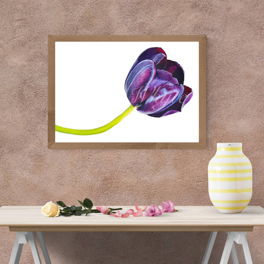 Tulipe Noire Print - Floral Watercolor Print