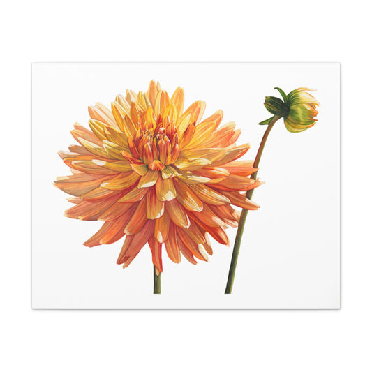 Floral Canvas Art Print - Vibrant Dahlia Decoration - Floral Watercolor Print