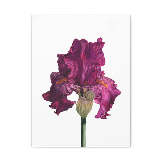 Elegant Floral Canvas Art - Vibrant Iris Print for Home Decor - Floral Watercolor Print