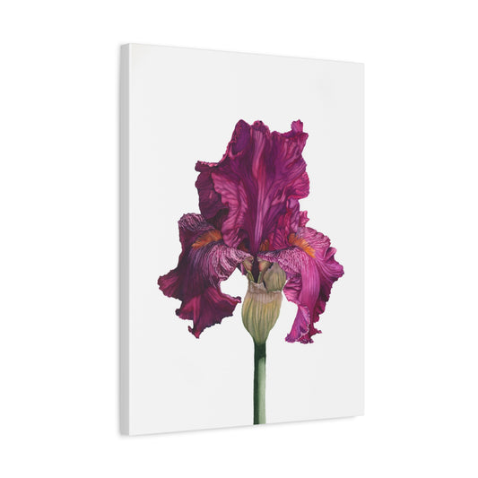 Elegant Floral Canvas Art - Vibrant Iris Print for Home Decor - Floral Watercolor Print