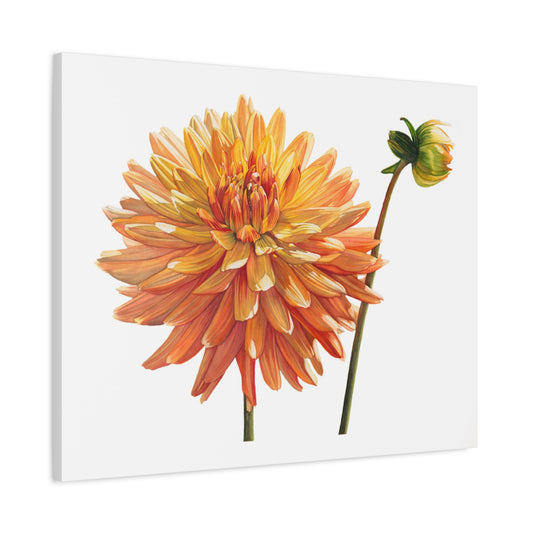 Floral Canvas Art Print - Vibrant Dahlia Decoration - Floral Watercolor Print