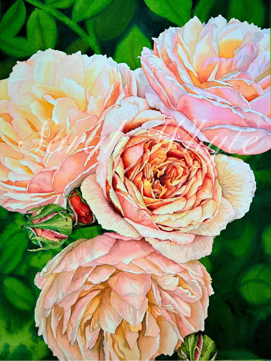 Summer Splendor Print - Watercolor Art by Sarah Whyte
