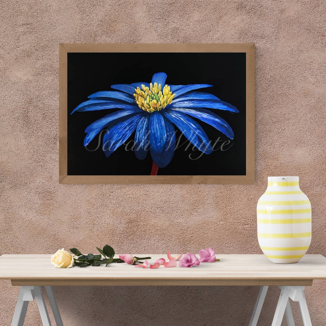 Balkan Anemone Print - Floral Watercolor Print