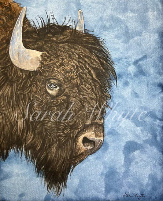 Bison Print - Wildlife Watercolor Print