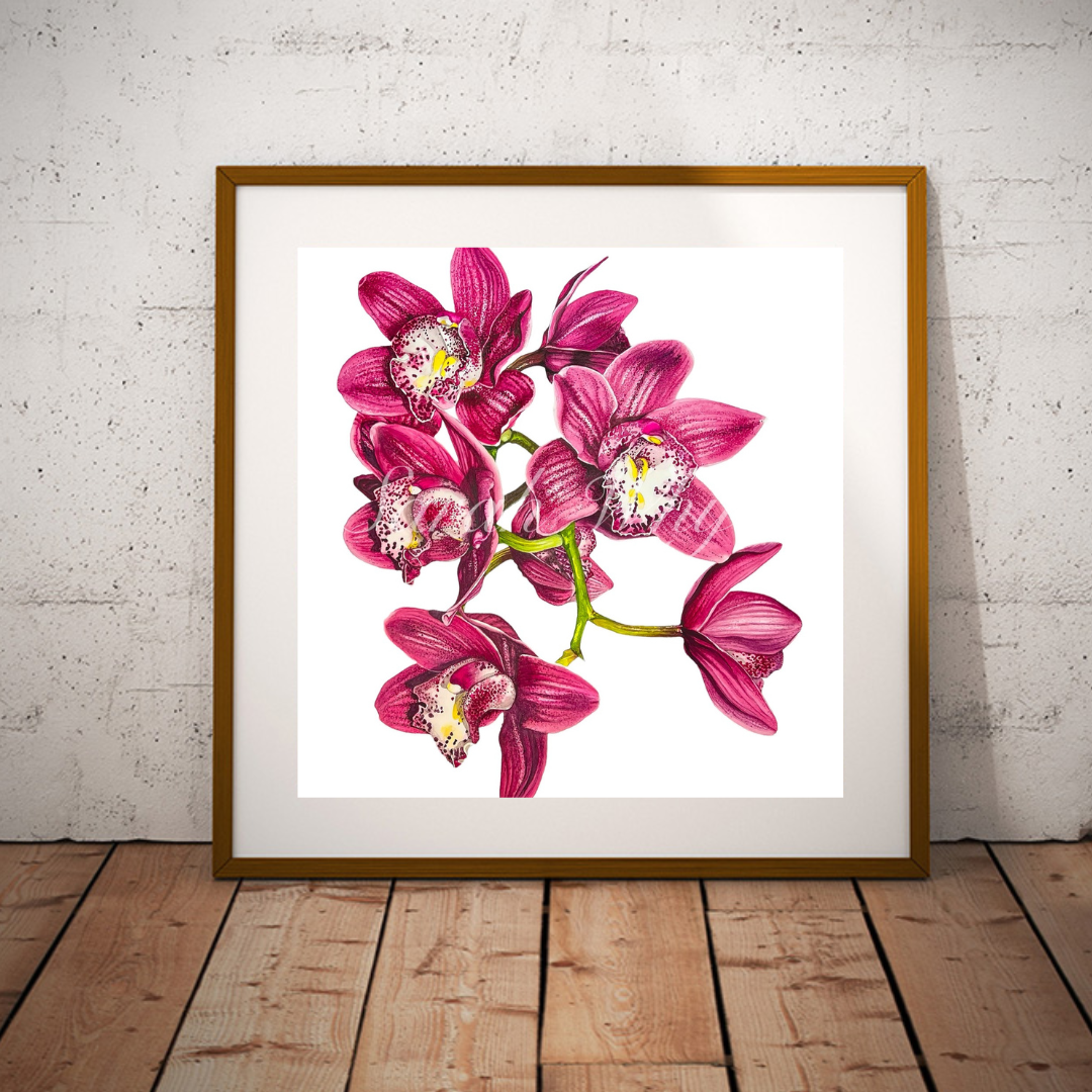 Cymbidium (Moth Orchid) Print - Floral Watercolor Print