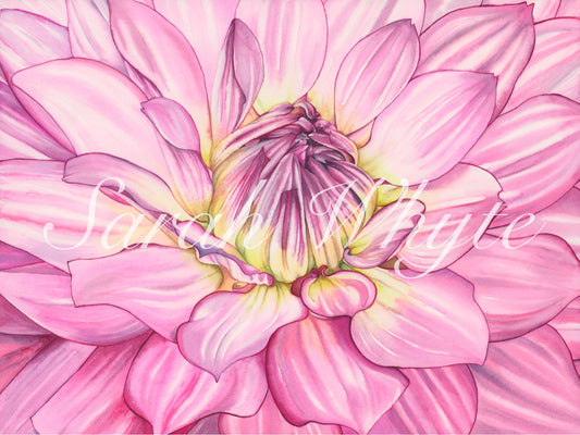 The Delicate Depths Print - Watercolor Art by Sarah Whyte