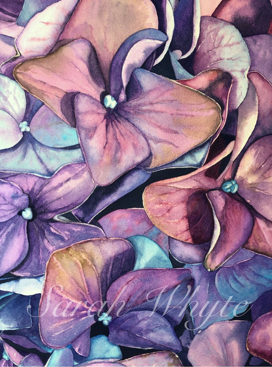 Fading Hydrangeas Print - Floral Watercolor Print