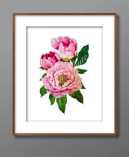 A Fresh Bunch Print - Watercolor Art by Sarah Whyte
