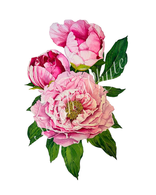 A Fresh Bunch Print - Watercolor Art by Sarah Whyte