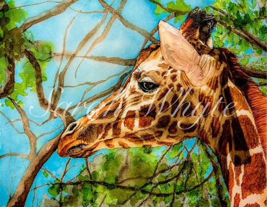 Giraffe 2 Print - Wildlife Watercolor Print