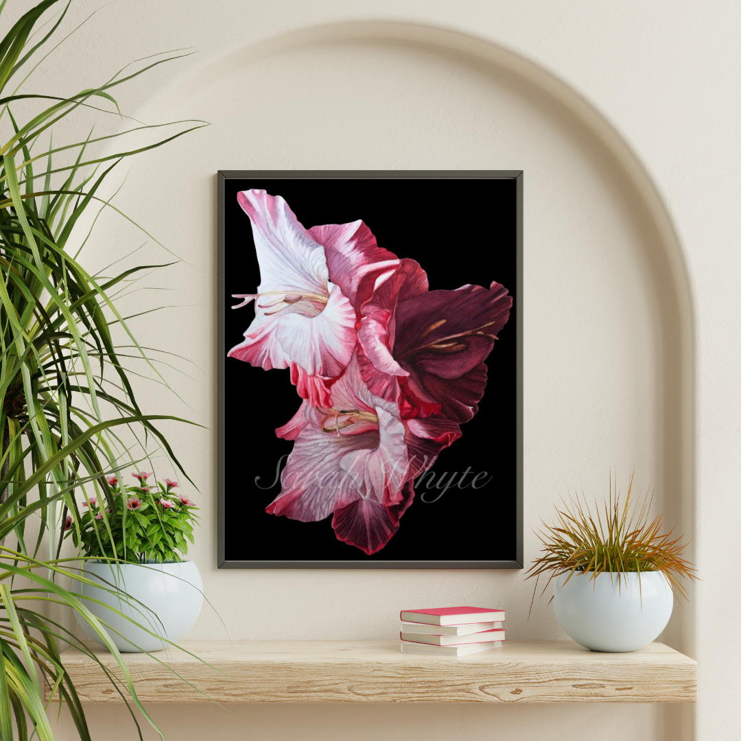 Gladioli Print - Watercolor Art by Sarah Whyte