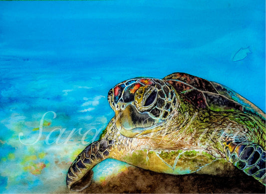 Green Sea Turtle Print - Wildlife Watercolor Print