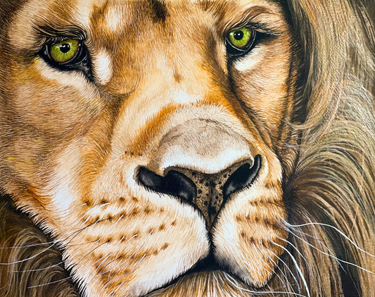 Focus, Lion in Portrait Print - Wildlife Watercolor Print