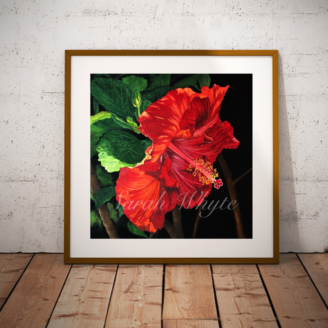Hawaiian Hibiscus Print - Watercolor Art by Sarah Whyte