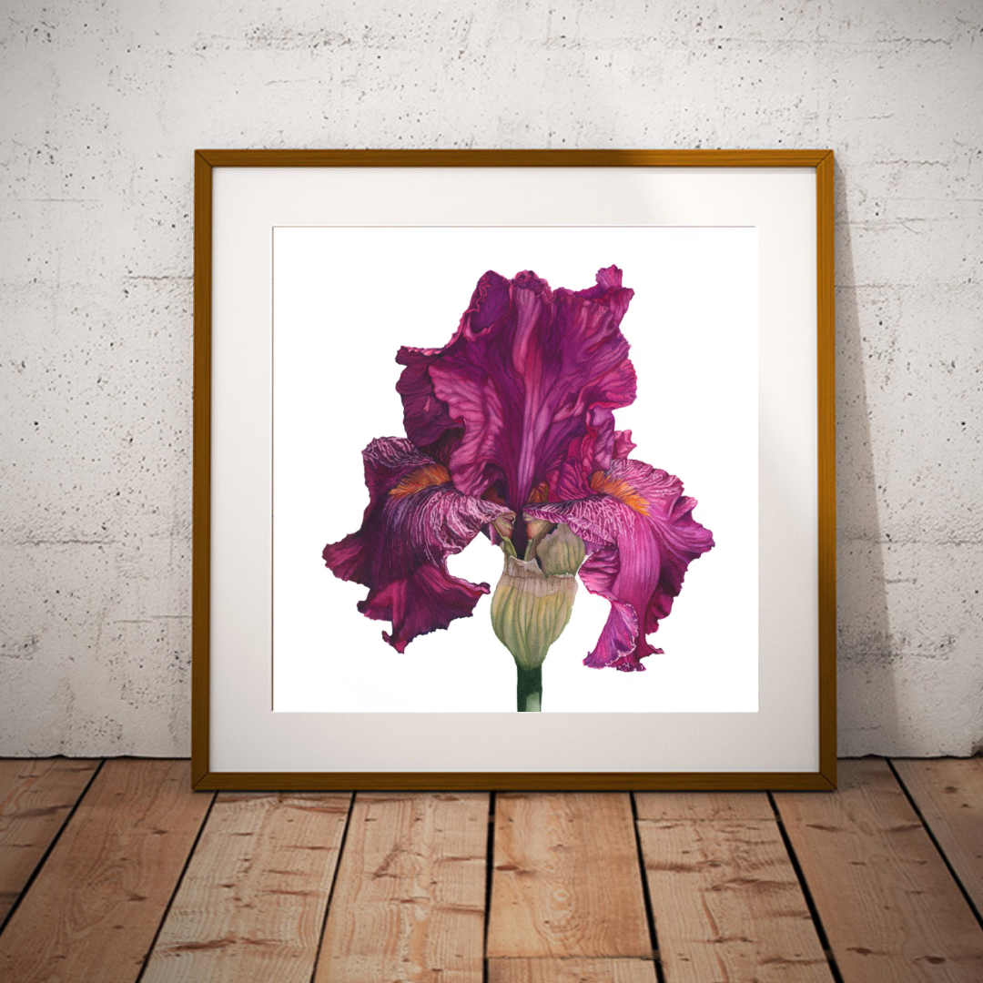 Iconic Print - Watercolor Art by Sarah Whyte