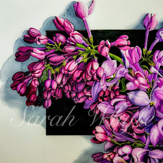 Lilac Sprig Print - Watercolor Art by Sarah Whyte
