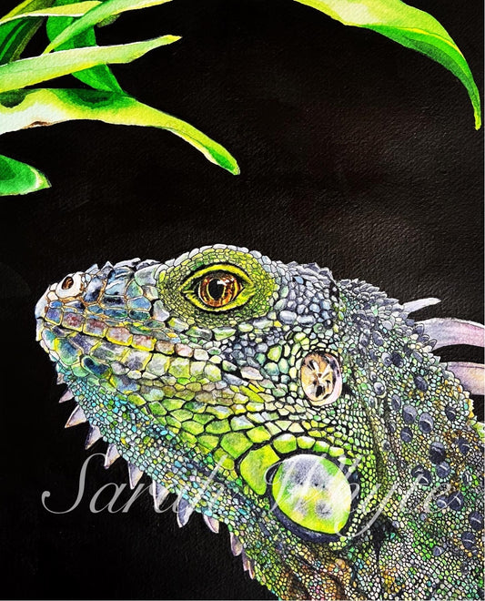 Mexican Iquana Print - Watercolor Art by Sarah Whyte