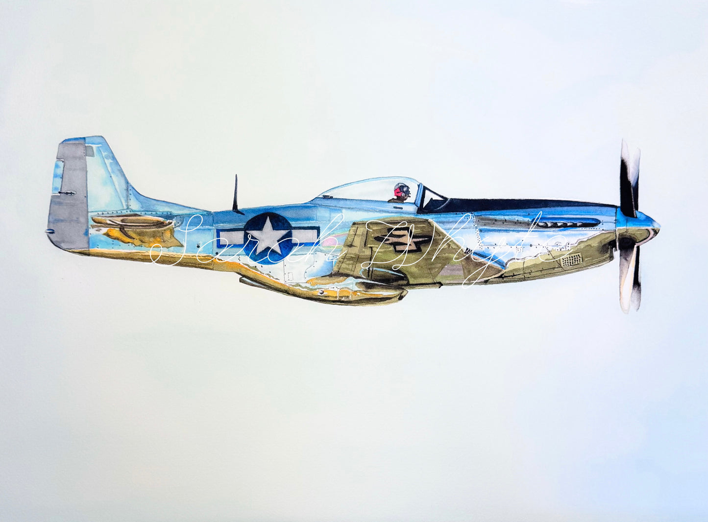 P-51 Mustang - Icon of the Skies