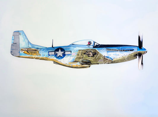 P-51 Mustang - Icon of the Skies