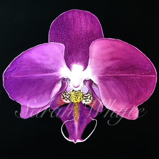 Purple Orchid Print - Floral Watercolor Print
