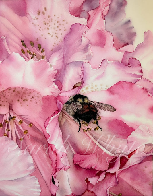 Rhody with Bumblebee Print - Watercolor Art by Sarah Whyte