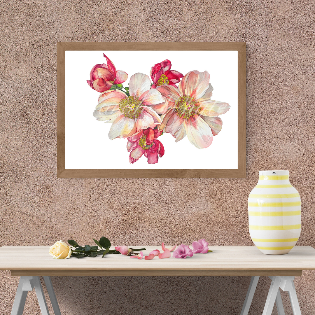 Single Peonies Print - Watercolor Art by Sarah Whyte