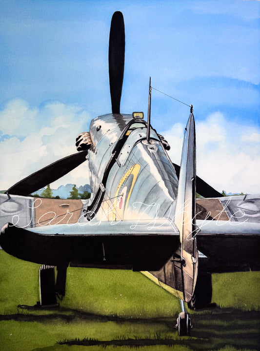 Spitfire Retrospective - “Echoes of Grace and Grit”