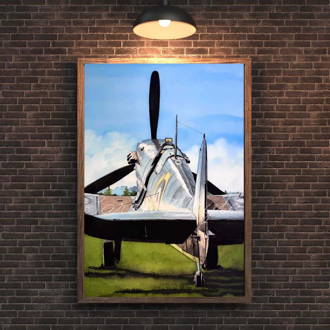 Spitfire Retrospective - “Echoes of Grace and Grit”