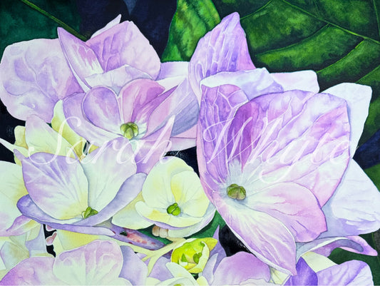 Summer Hush Print - Watercolor Art by Sarah Whyte