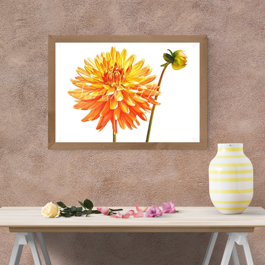 Sunny Dahlia Print - Floral Watercolor Print