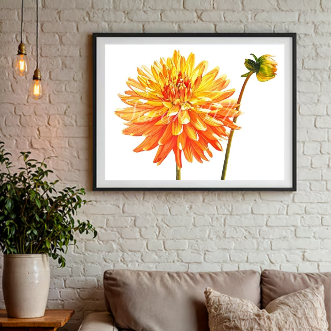 Sunny Dahlia Print - Floral Watercolor Print