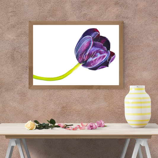 Tulipe Noire Print - Floral Watercolor Print